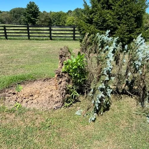 Trusted lawn care service experts serving Powell, OH - JS Landscaping