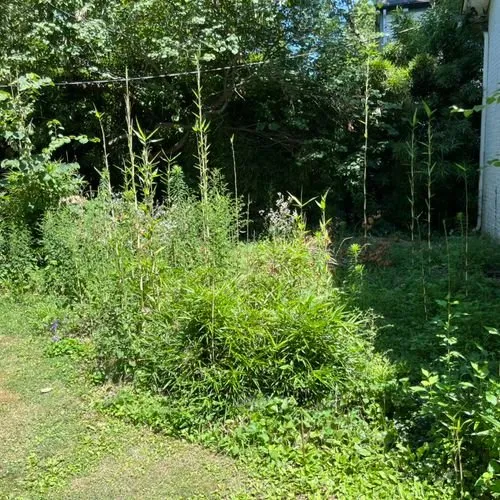 Reliable garden landscaping in Powell, OH - JS Landscaping