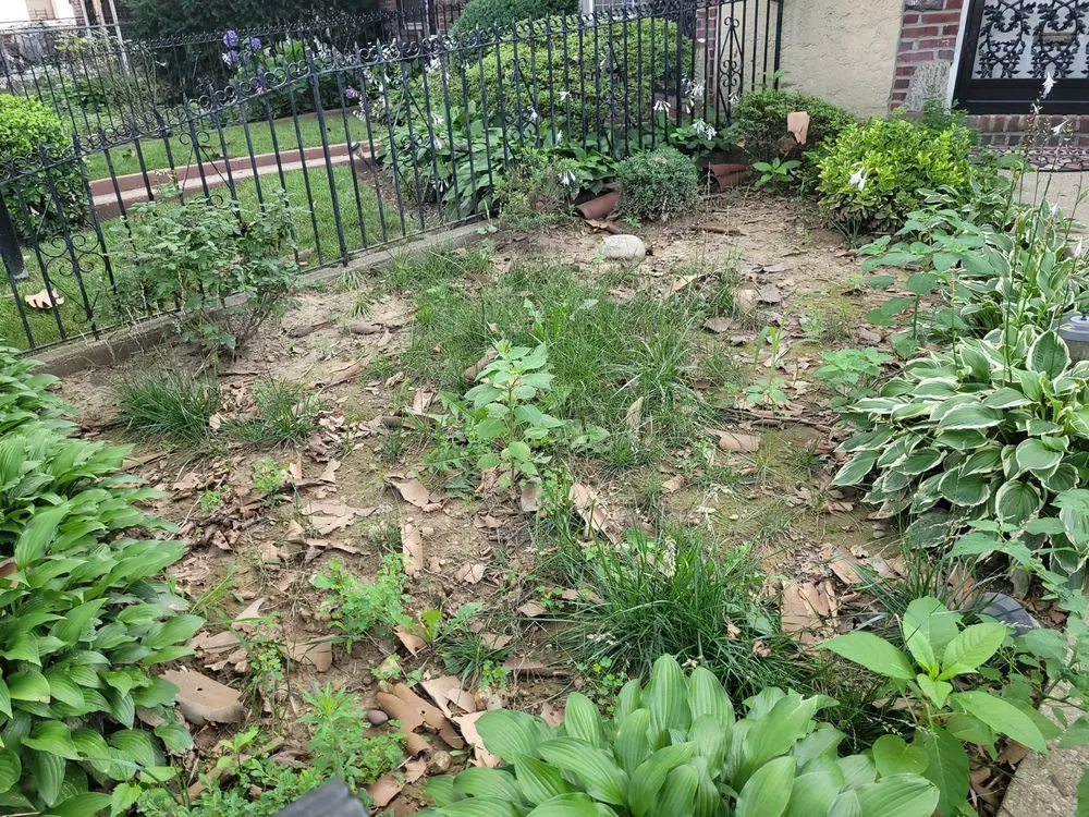 Top-rated outdoor landscaping for residential properties across Queens, NY - Js Landscaping Pro