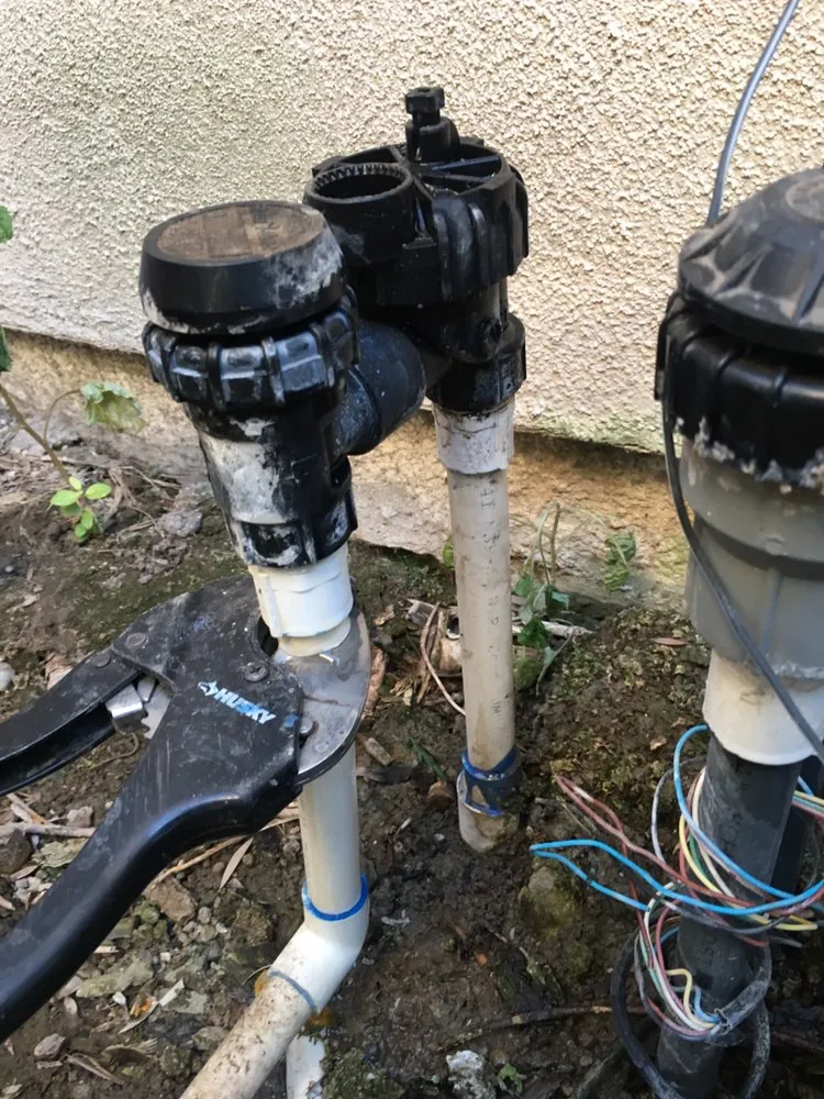 Expert yard cleanup service in Riverside, CA - JS Landscaping