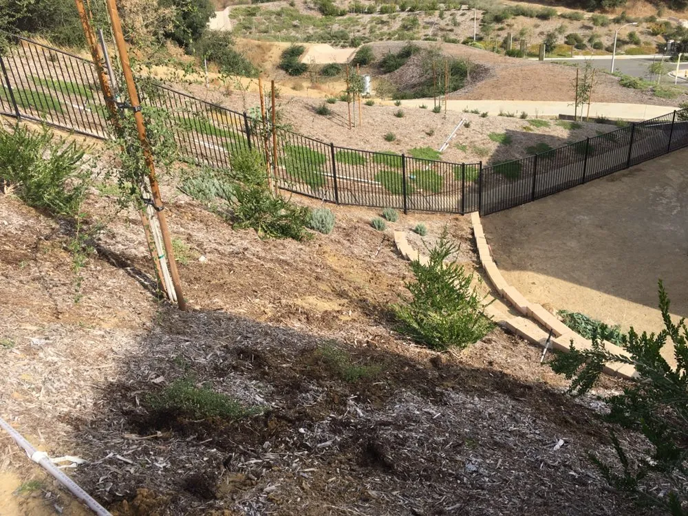 Professional yard cleanup service for year-round maintenance in Riverside, CA by JS Landscaping