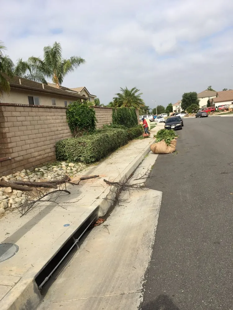 Local landscaping services in Riverside, CA - JS Landscaping