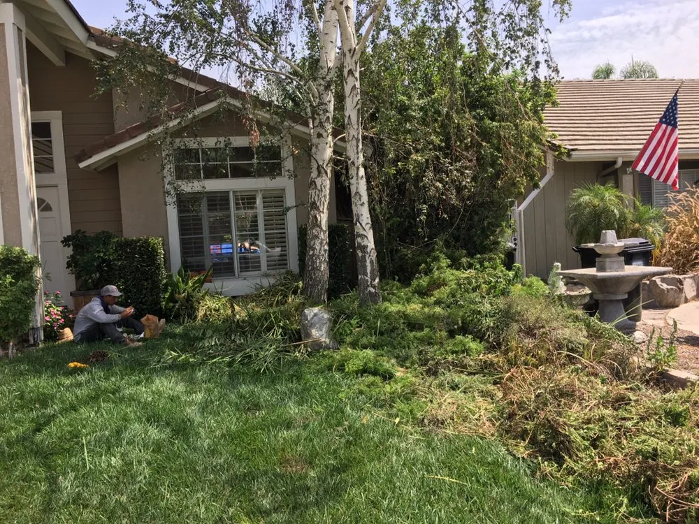 Affordable yard cleanup service experts serving Riverside, CA - JS Landscaping