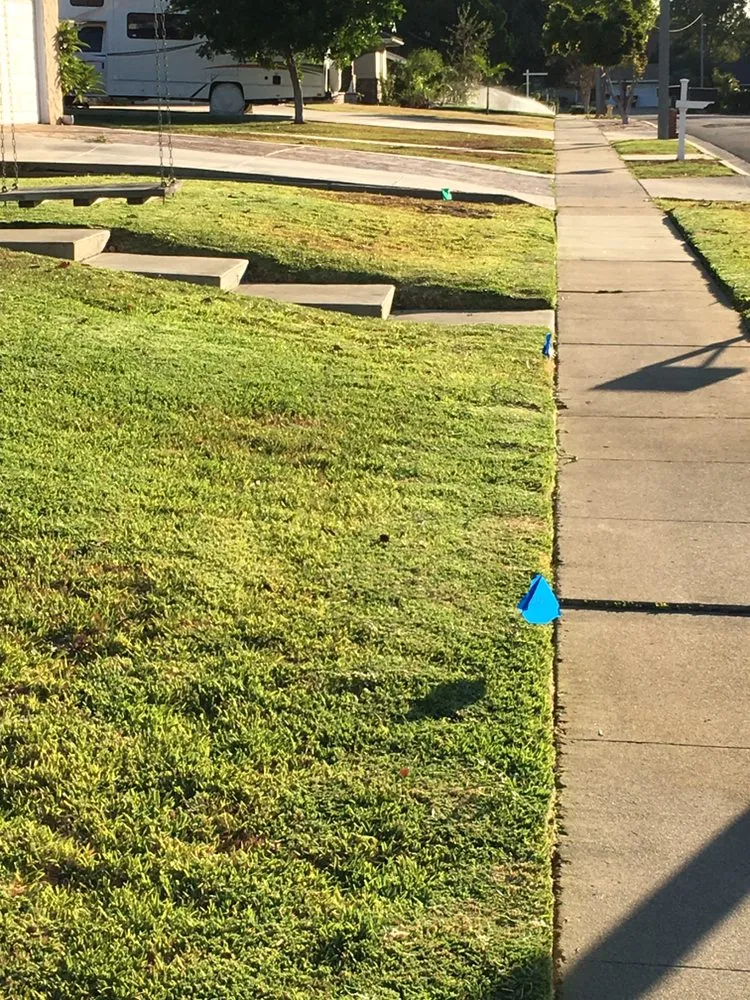 Local yard cleanup service for beautiful yards across Riverside, CA - JS Landscaping