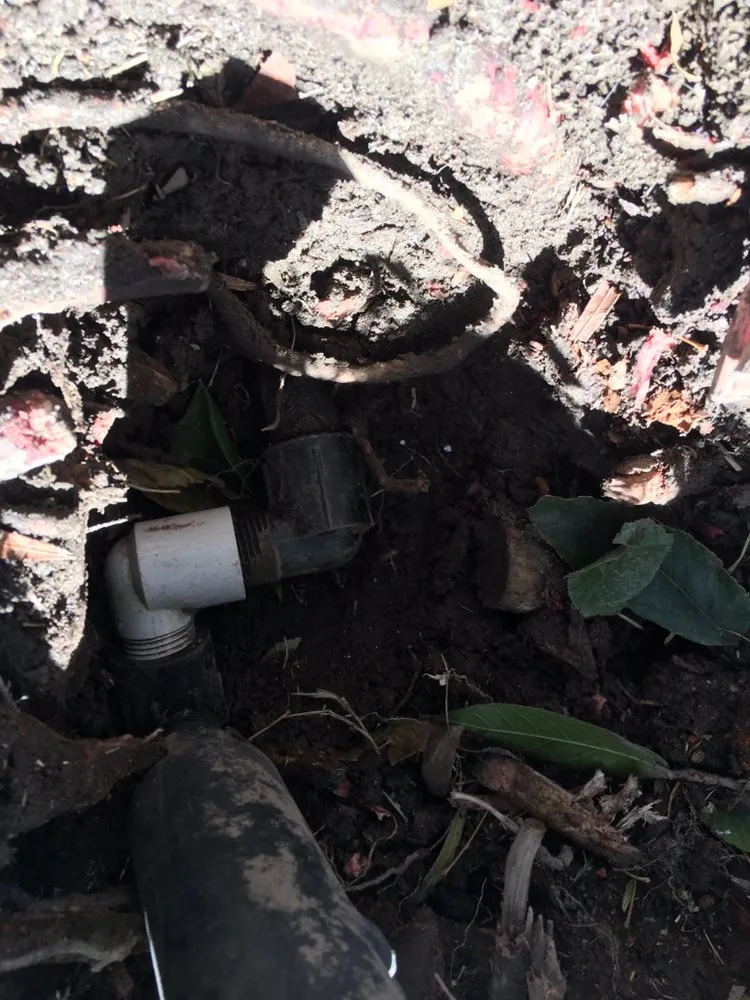 Custom yard maintenance in Riverside, CA by JS Landscaping