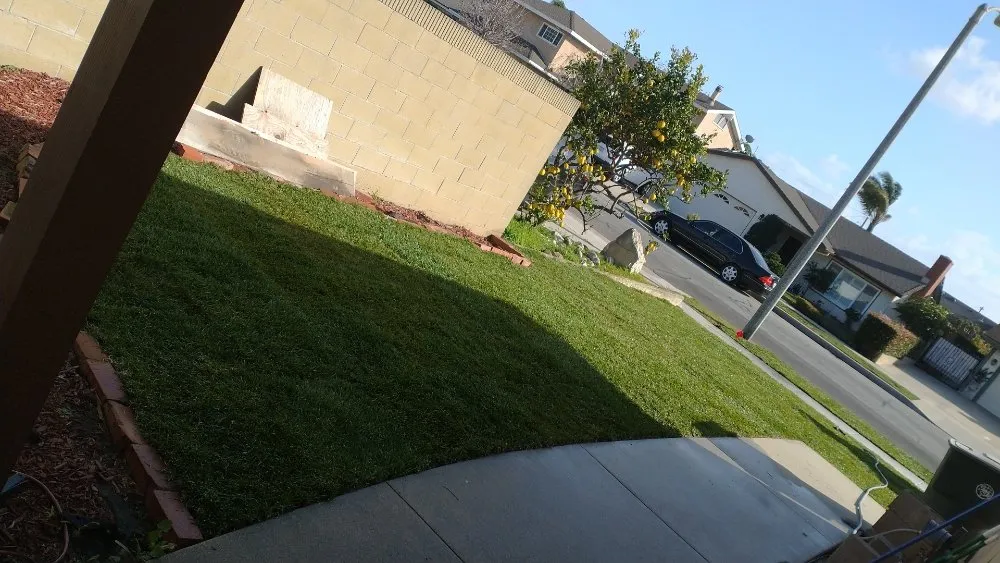 Custom residential landscaping experts serving Stanton, CA - J’s Landscaping