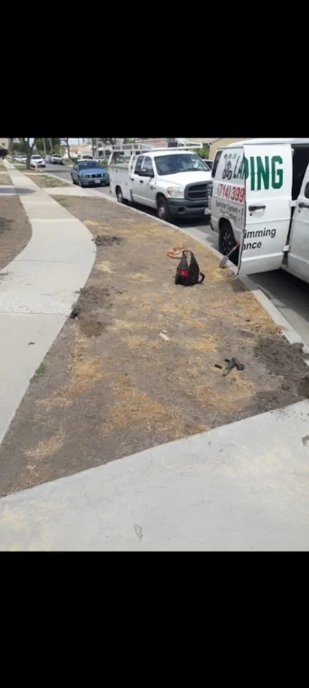 Expert residential landscaping in Stanton, CA - J’s Landscaping