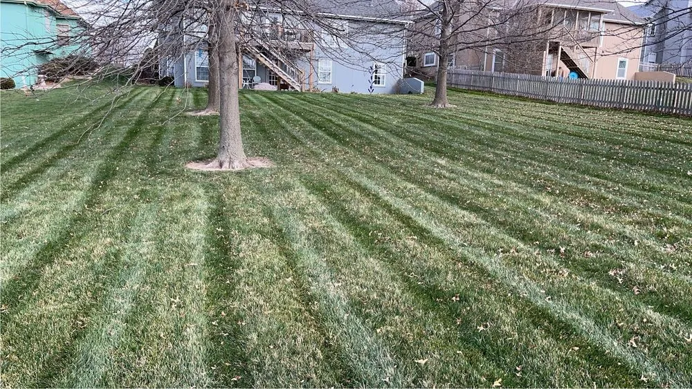 Expert outdoor landscaping for beautiful yards in Liberty, MO by JS Lawn and Landscape