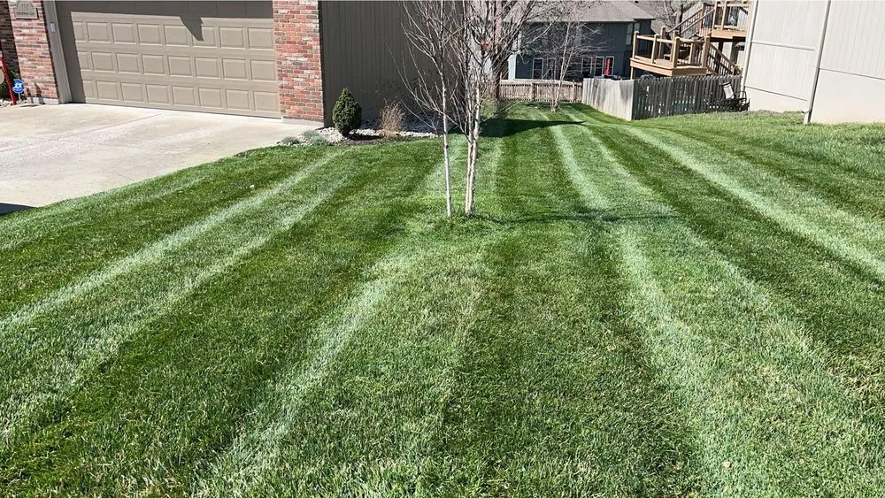 Expert yard cleanup service experts serving Liberty, MO - JS Lawn and Landscape