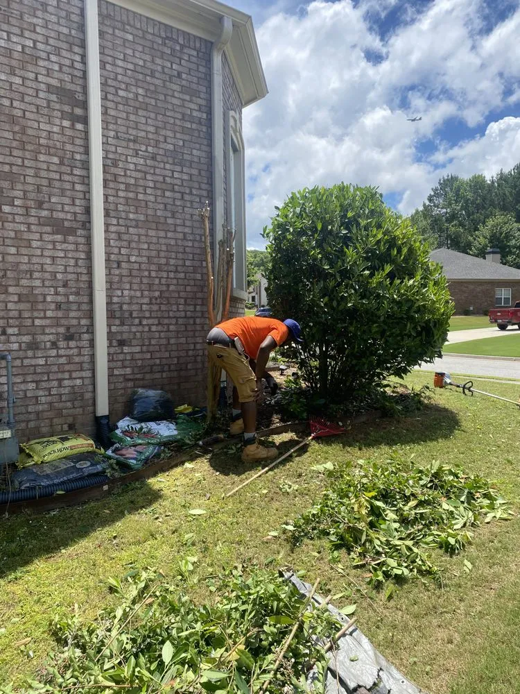 Top-rated landscape installation in Atlanta, GA - JS Lawn Care & Brush Control