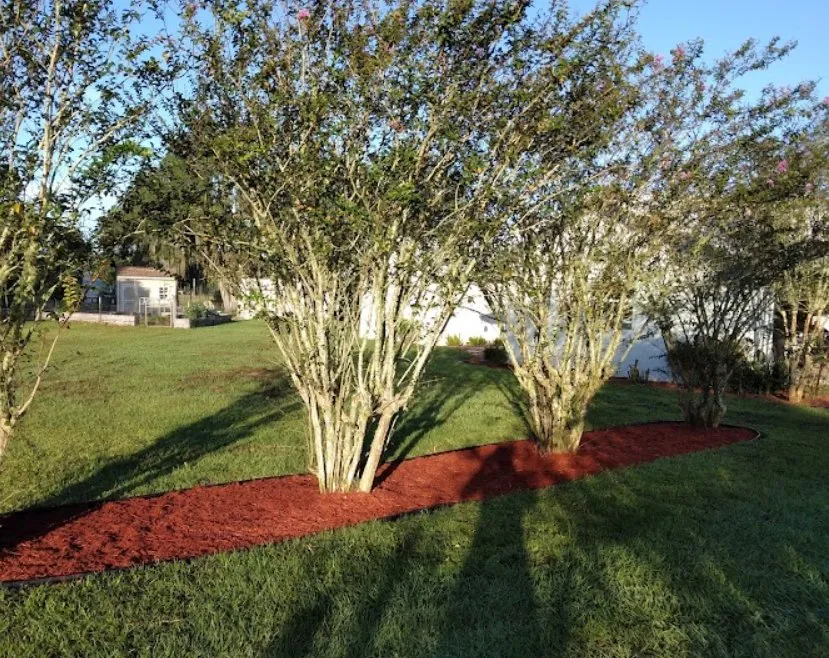 Expert garden landscaping experts serving DeLand, FL - JS Lawn Care & Land Services