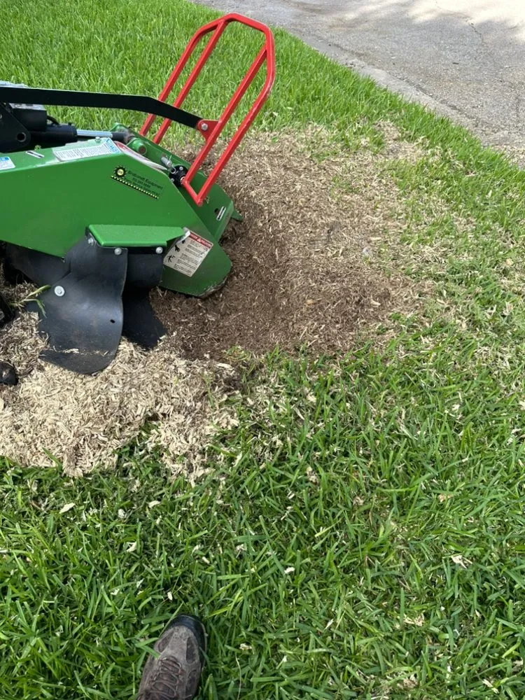 Custom landscaping services in Paige, TX by JS Lawn Care and Tree’s Service