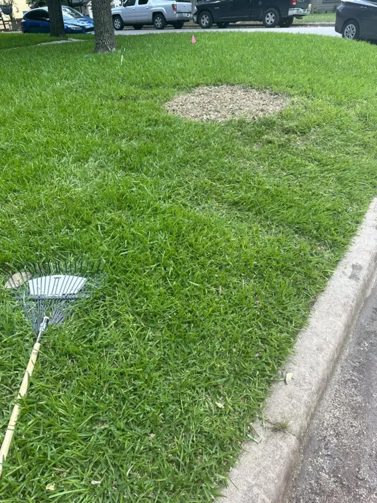 Custom garden landscaping in Paige, TX by JS Lawn Care and Tree’s Service