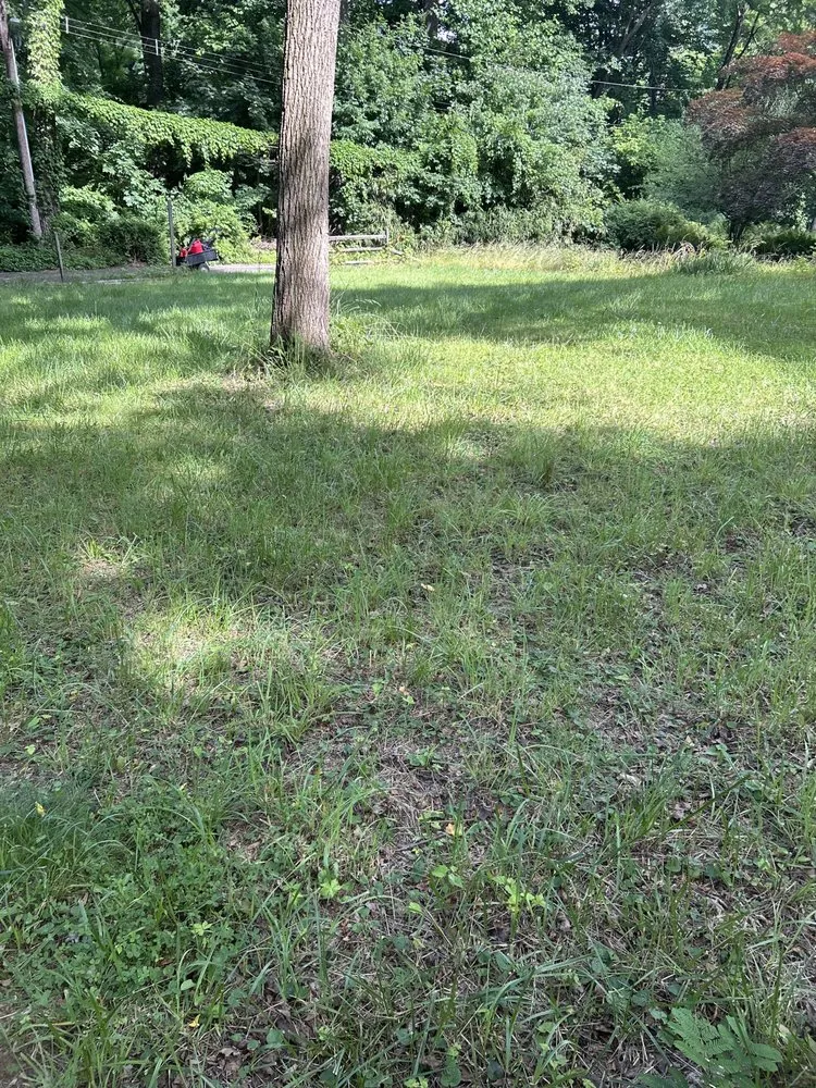 Professional lawn mowing service for outdoor upgrades across Feasterville-Trevose, PA - JS lawn care