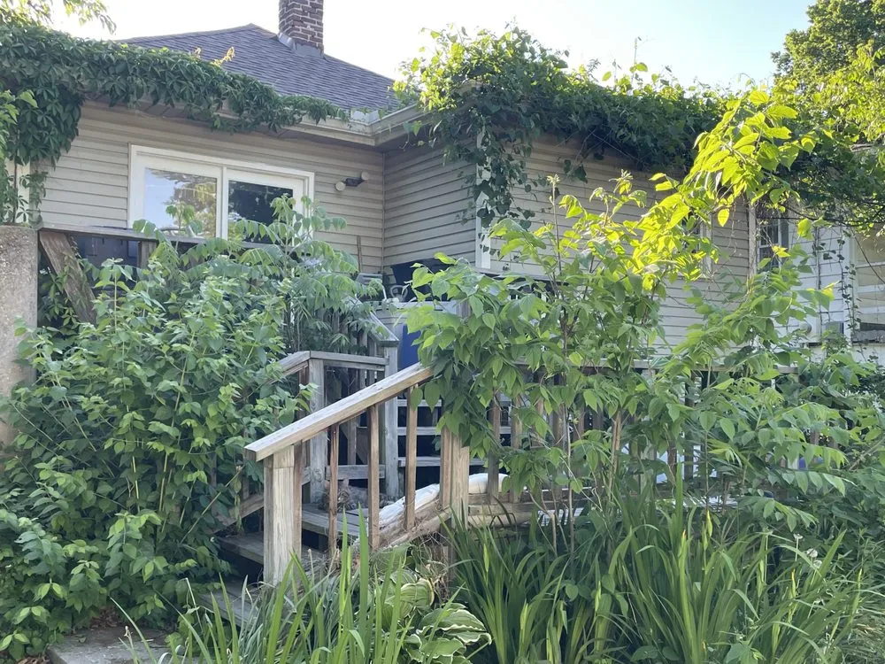 Local yard cleanup service experts serving Independence, MO - J's Lawn Care