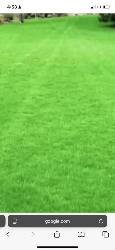 Top-rated yard cleanup service experts serving Nacogdoches, TX - JS Lawn Care