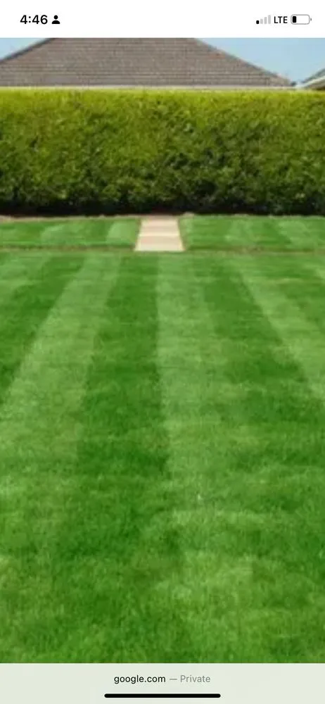 Top-rated outdoor landscaping in Nacogdoches, TX by JS Lawn Care