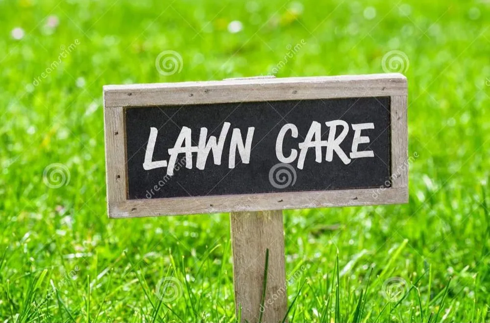 Expert yard maintenance experts serving Porterville, CA - J's Lawn Care Pros