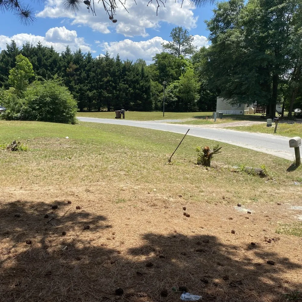 Affordable residential landscaping in Seaford, DE - J&S Lawn Care