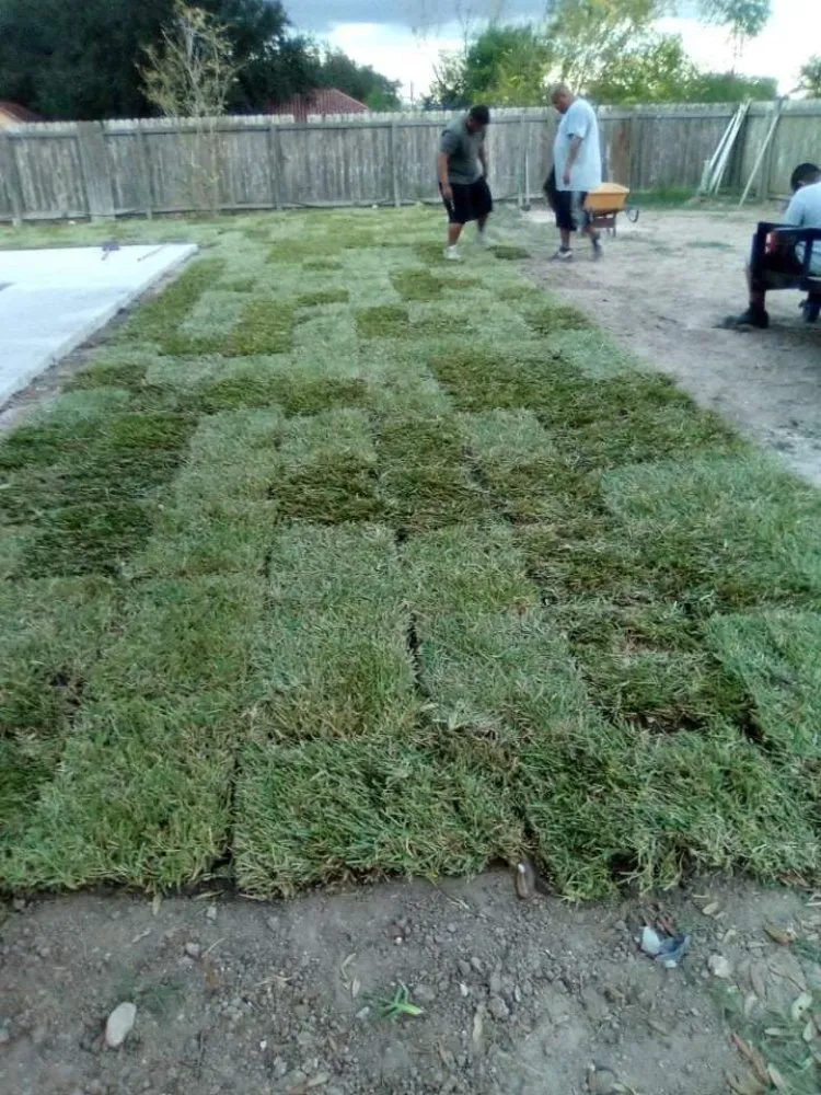 Professional landscaping services experts serving Edinburg, TX - J's Lawn Care Service