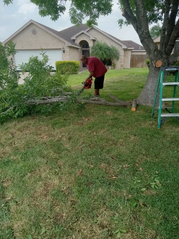 Affordable outdoor landscaping in Edinburg, TX by J's Lawn Care Service