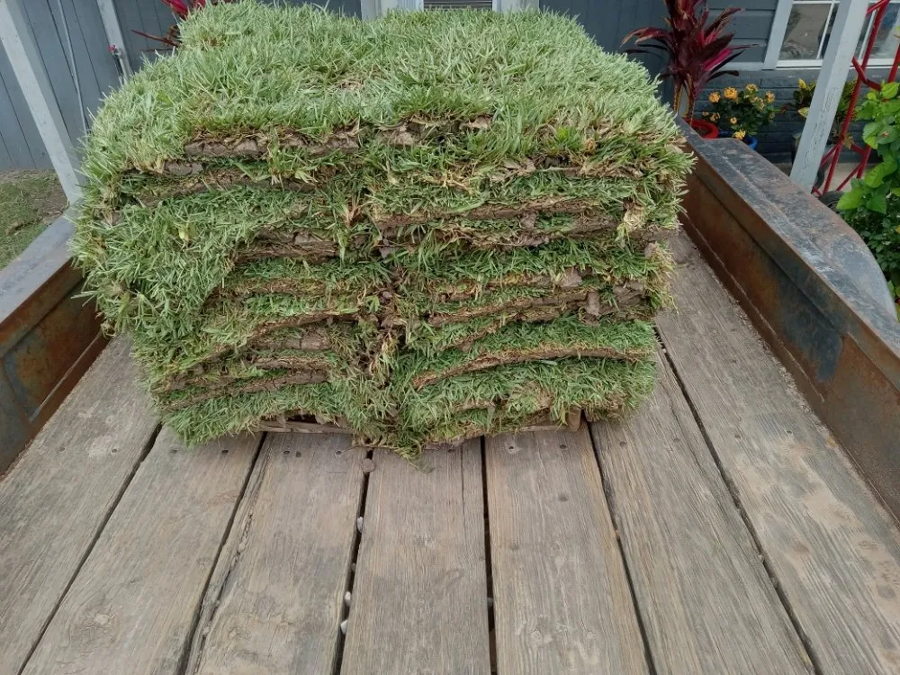 Trusted landscape design near you in Edinburg, TX by J's Lawn Care Service