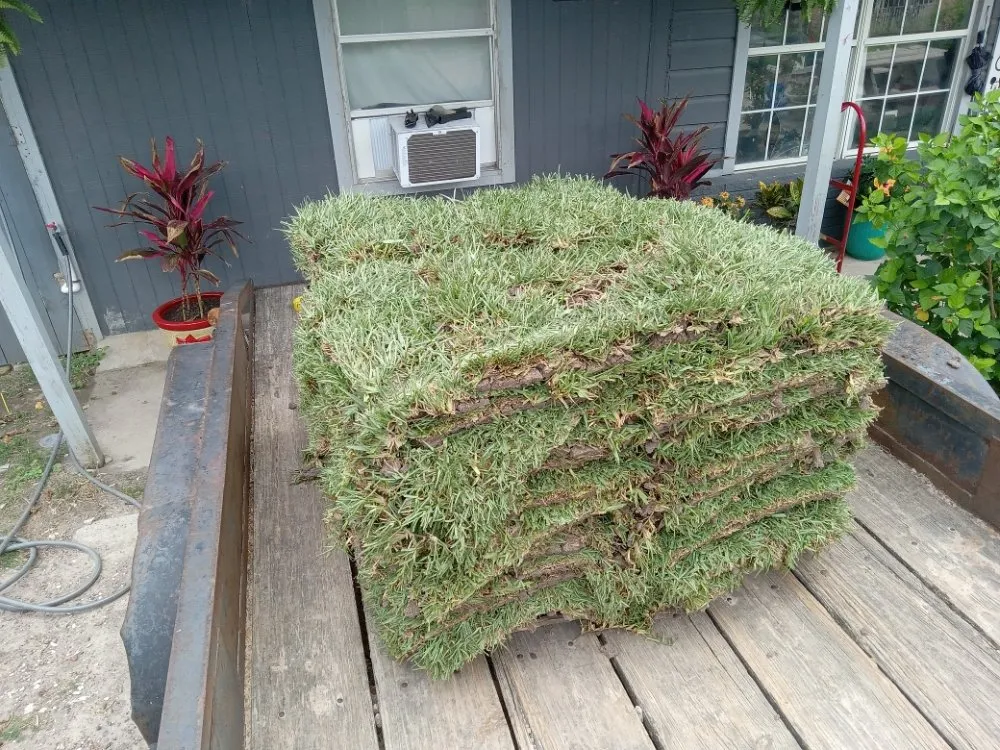 Professional landscape design experts serving Edinburg, TX - J's Lawn Care Service