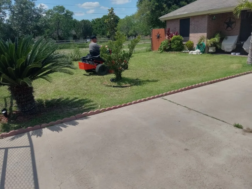 Local yard cleanup service in Edinburg, TX by J's Lawn Care Service