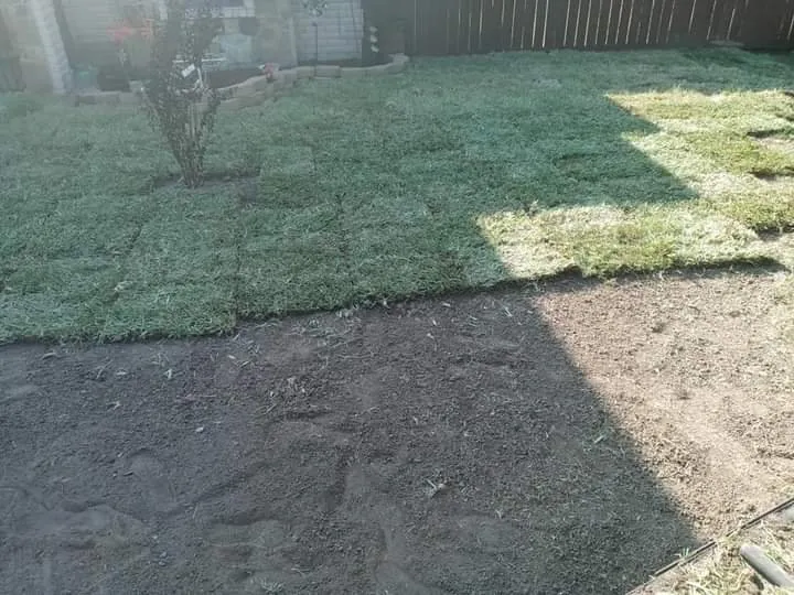 Expert yard maintenance in Edinburg, TX - J's Lawn Care Service
