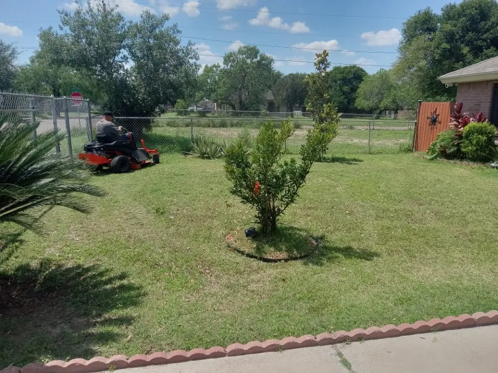 Local lawn mowing service near you in Edinburg, TX by J's Lawn Care Service
