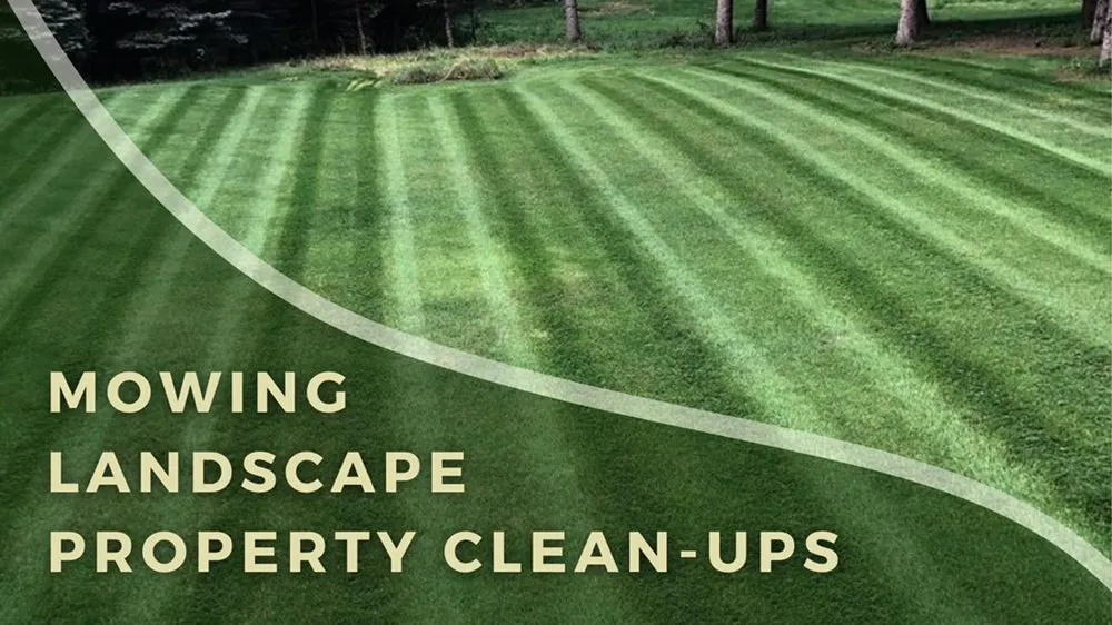 Affordable lawn mowing service in Beach Park, IL - J's Lawn Care Services