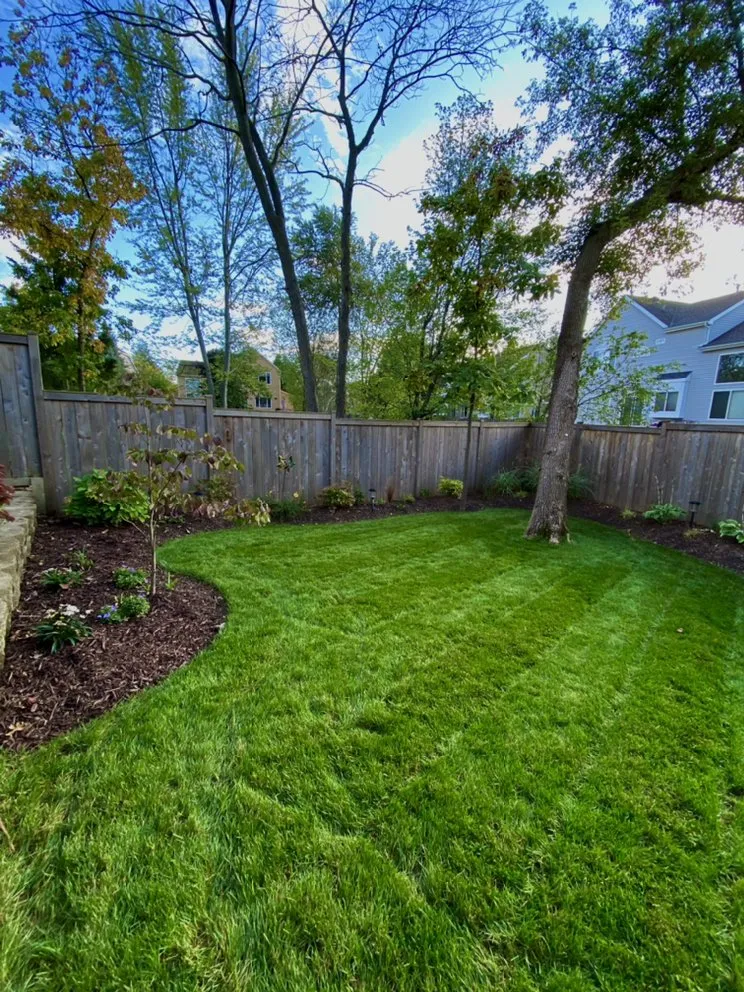 Top-rated yard cleanup service in Beach Park, IL - J's Lawn Care Services