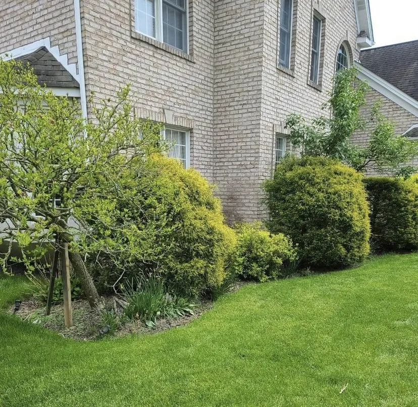 Local garden landscaping experts serving Beach Park, IL - J's Lawn Care Services