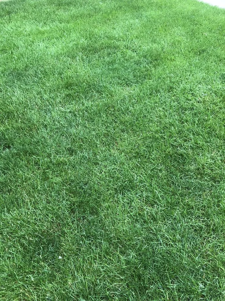 Professional residential landscaping for outdoor upgrades across Somonauk, IL - J’s Lawn care