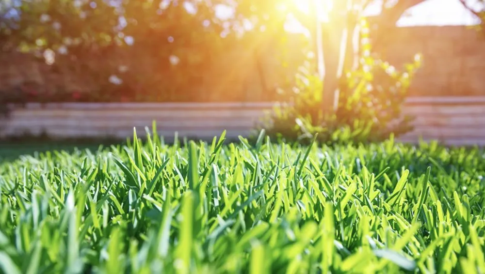 Custom landscape design in Star, ID - J&S Lawn Care