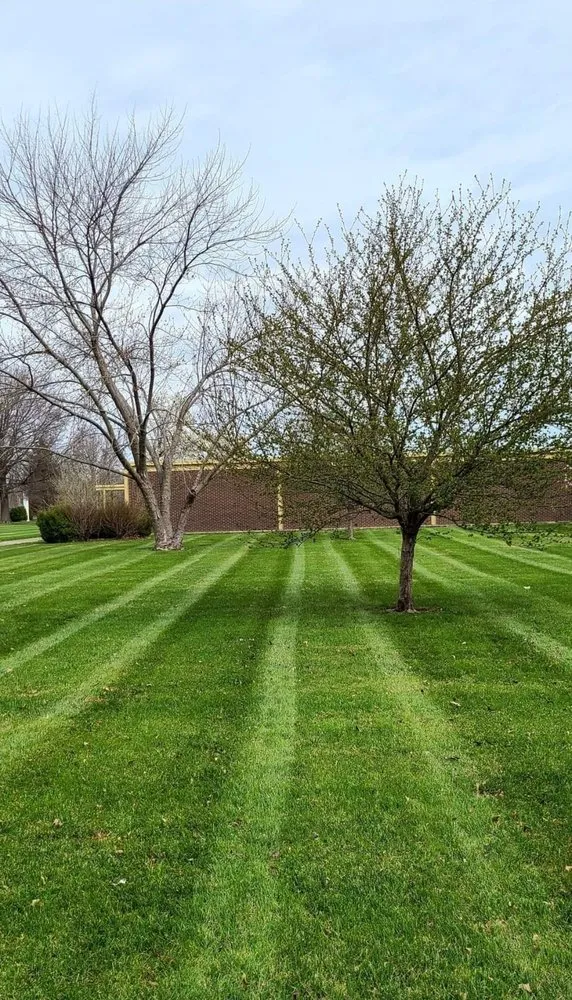 Local yard maintenance experts serving Blue Springs, MO - J's Lawn Enforcement