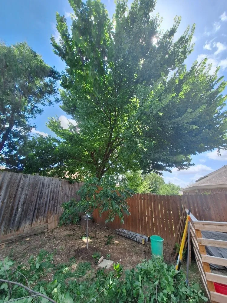 Custom lawn care service near you in Cedar Hill, TX by J's Lawn Service