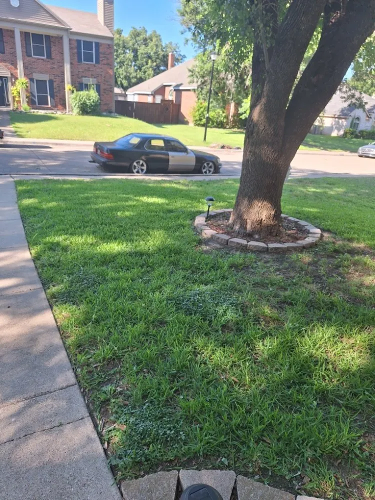 Custom yard maintenance in Cedar Hill, TX by J's Lawn Service