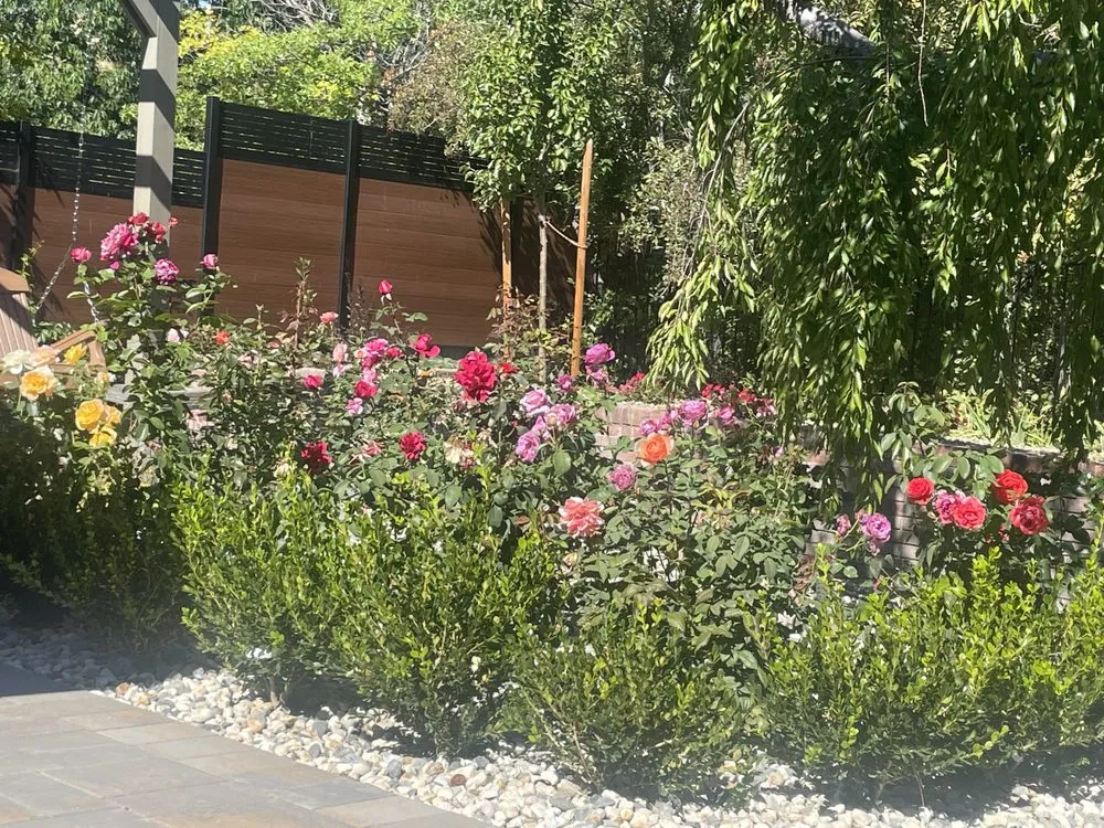 Local outdoor landscaping in Reno, NV by JS Lawn Service