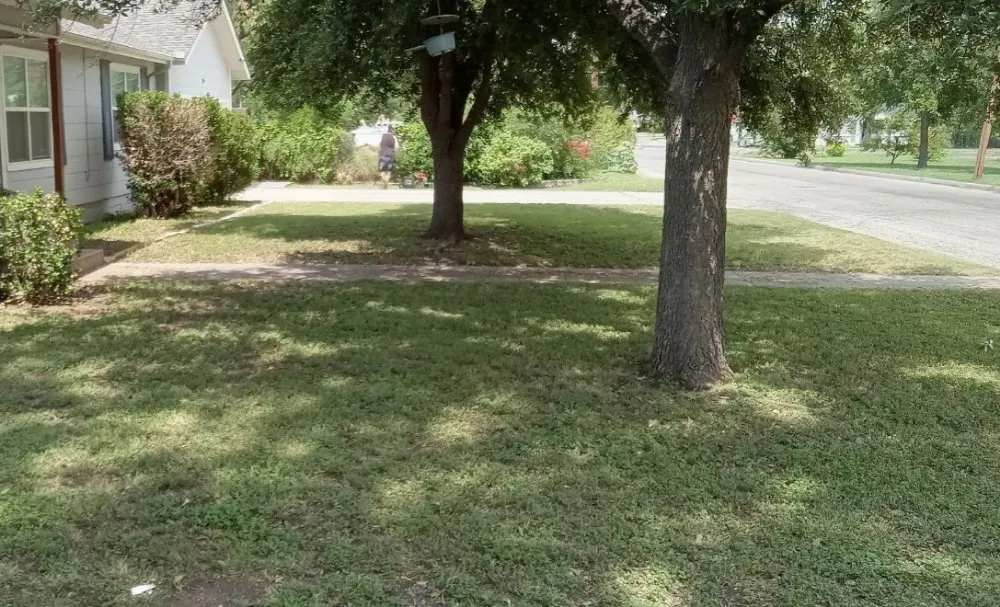 Custom residential landscaping in San Angelo, TX by Js Lawn Services