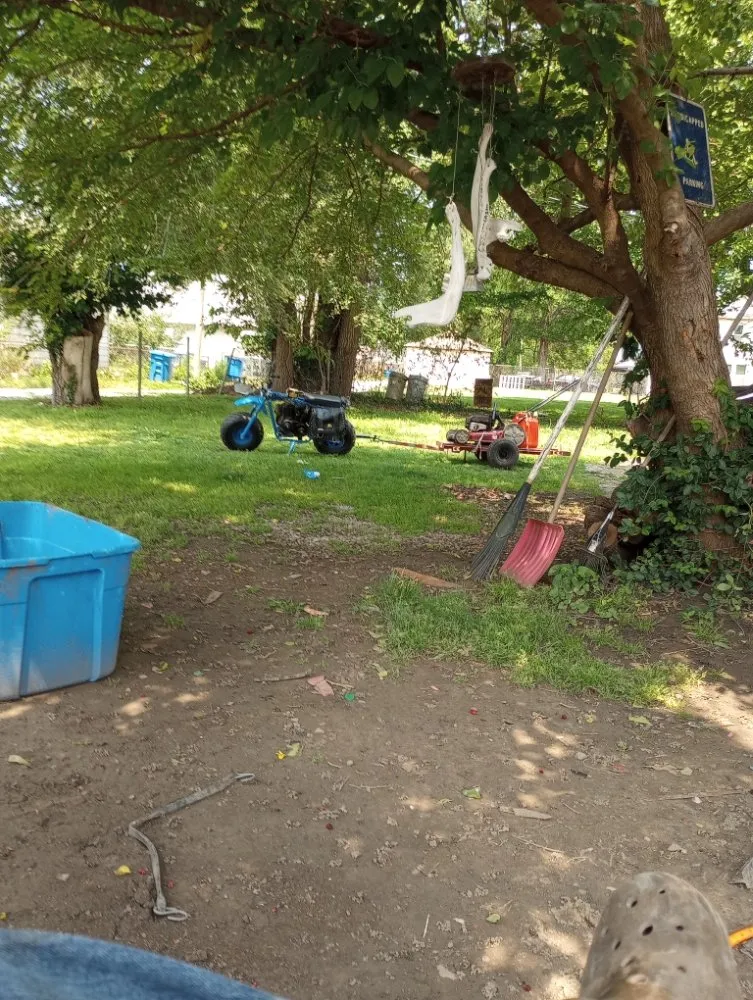 Professional yard cleanup service in Granite City, IL - J&S Lawncare + More