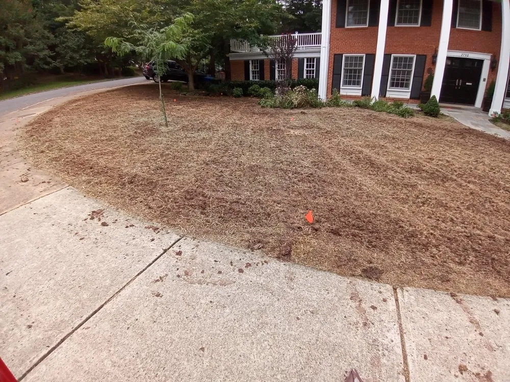 Trusted landscaping services in Riverdale, MD - JS Lawncare
