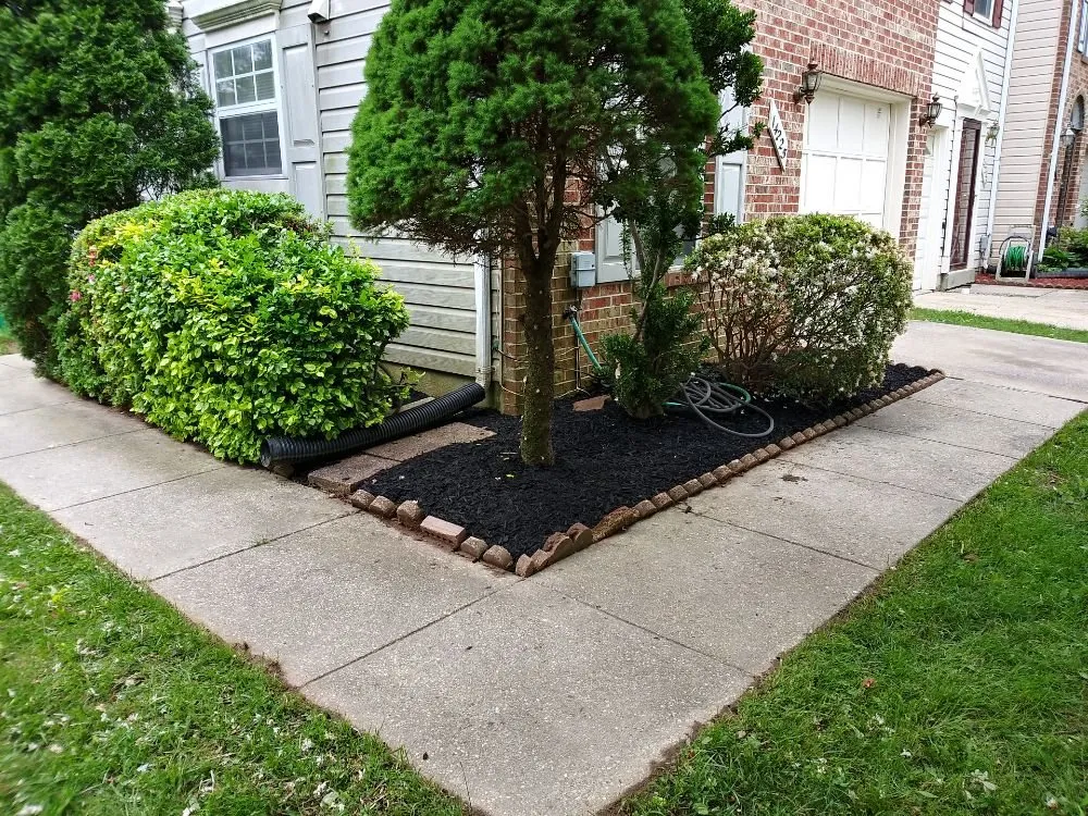 Professional lawn care service experts serving Riverdale, MD - JS Lawncare