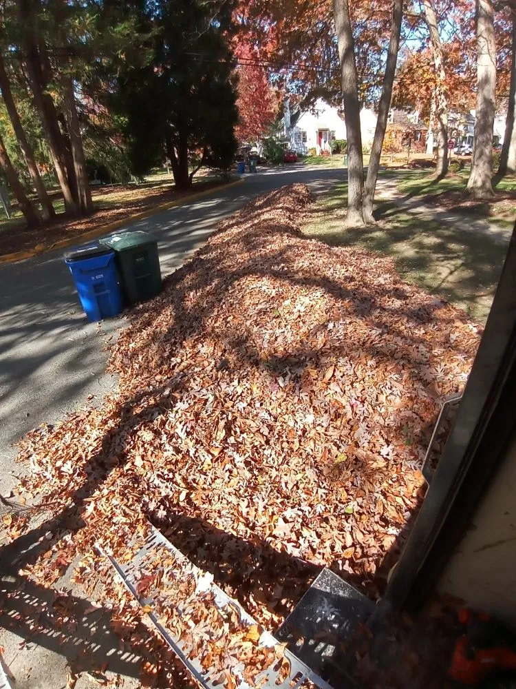 Professional yard cleanup service in Riverdale, MD - JS Lawncare