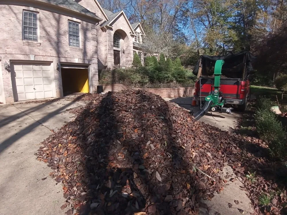 Expert lawn care service for year-round maintenance across Riverdale, MD - JS Lawncare