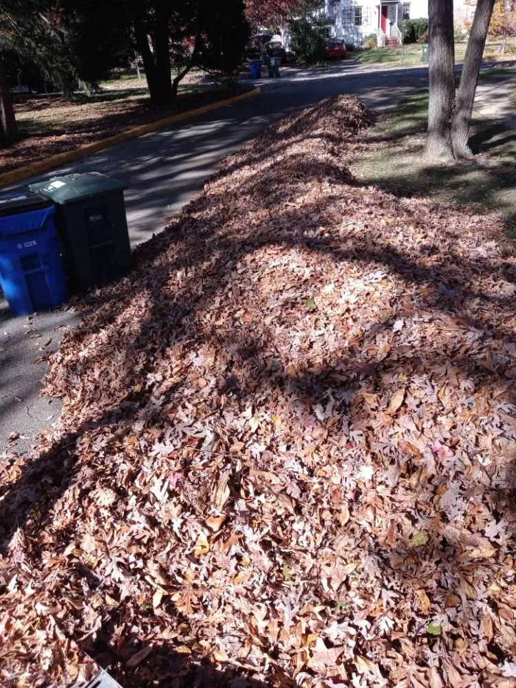 Professional lawn care service experts serving Riverdale, MD - JS Lawncare