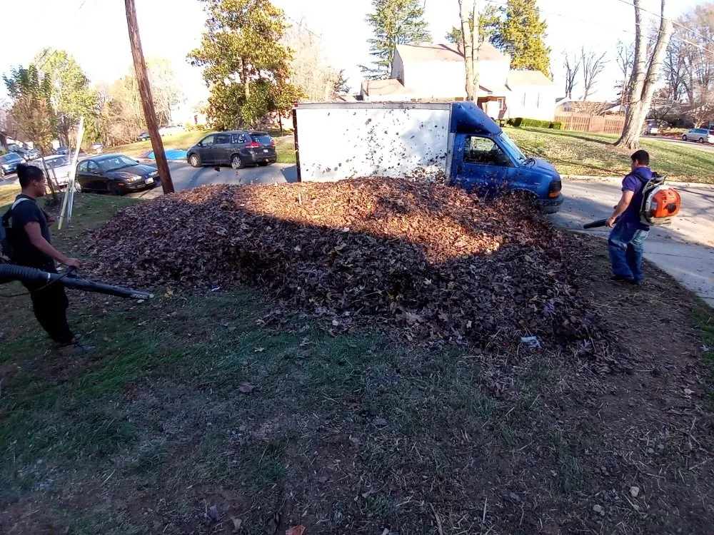 Trusted lawn mowing service experts serving Riverdale, MD - JS Lawncare