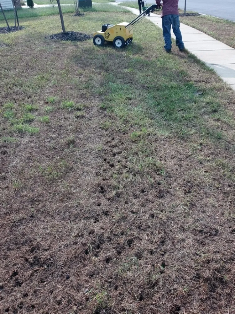 Trusted landscape installation in Riverdale, MD by JS Lawncare