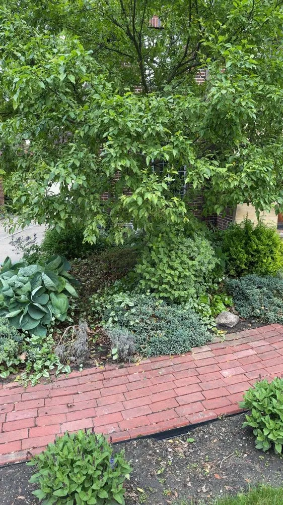 Expert yard maintenance with custom design across Woodville, OH - JS LawnCare