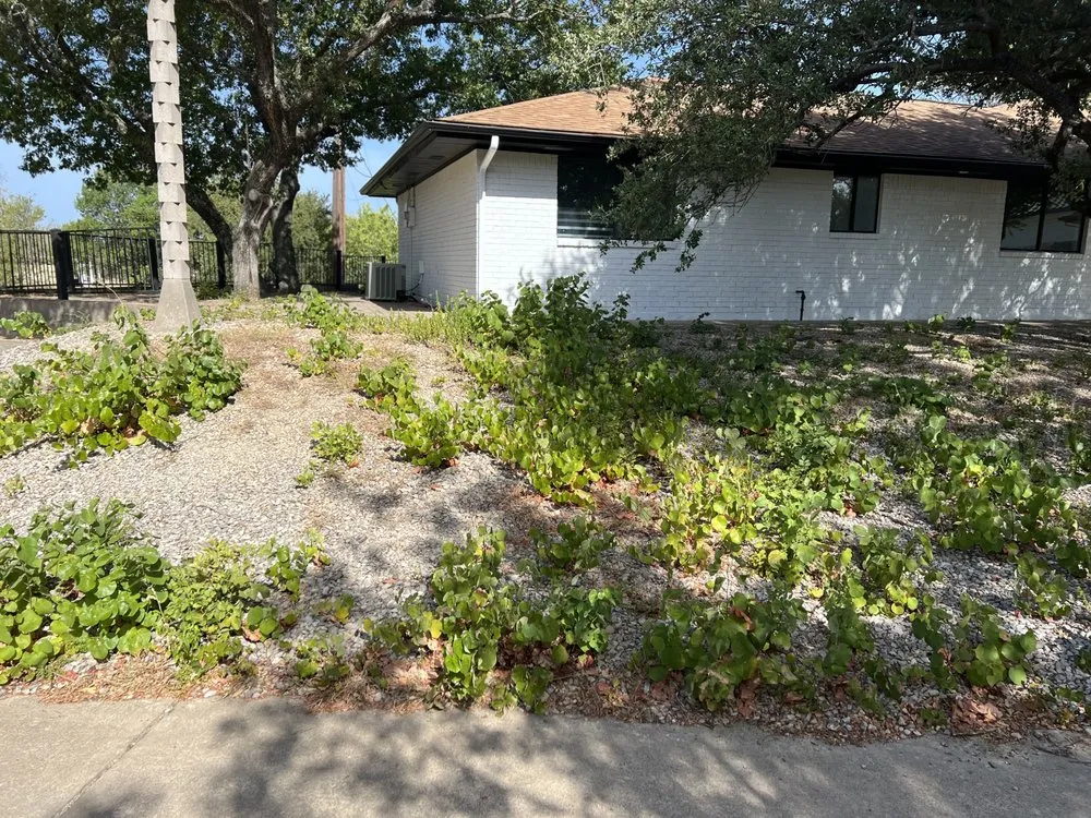 Trusted yard maintenance experts serving Fort Worth, TX - J&S Lawn&Irrigation